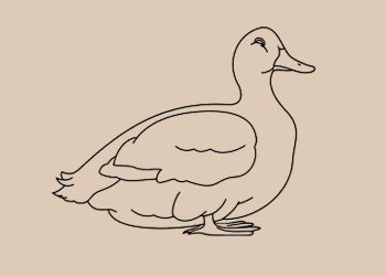 FOIE DE CANARD CHAUD AUX POIRES